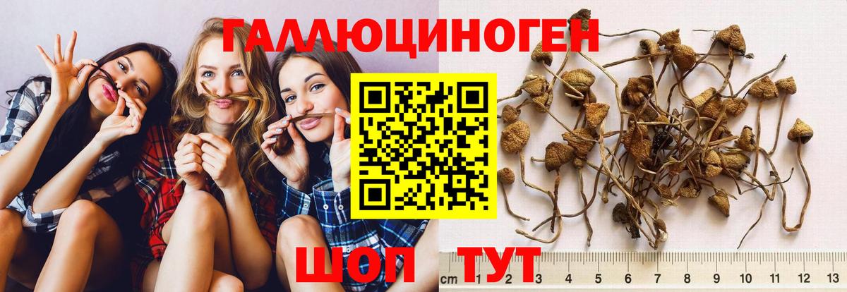 Псилоцибиновые грибы прущие грибы Фролово
